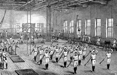 history of physical culture.